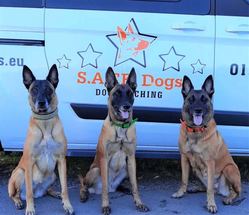 Anika Radtke Safe Dogs